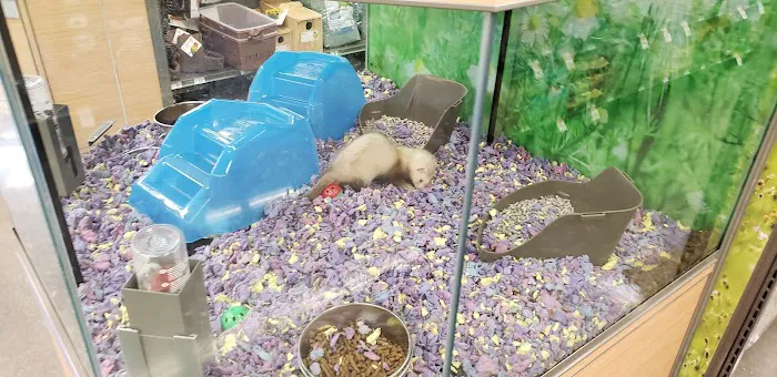 Petco Picture 8