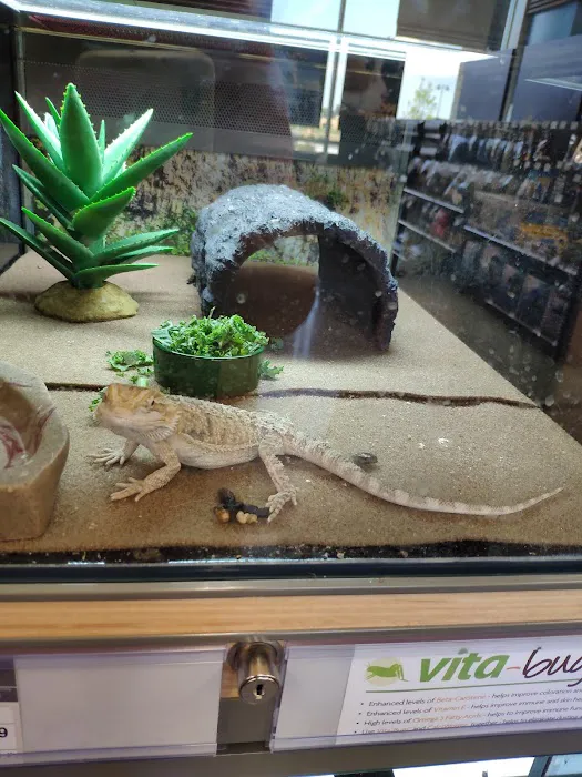 Petco Picture 5
