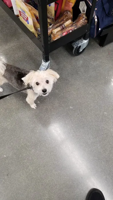 Petco Picture 6