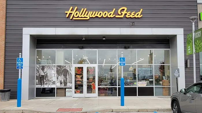 Hollywood Feed Picture 3