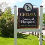 Chelsea Animal Hospital