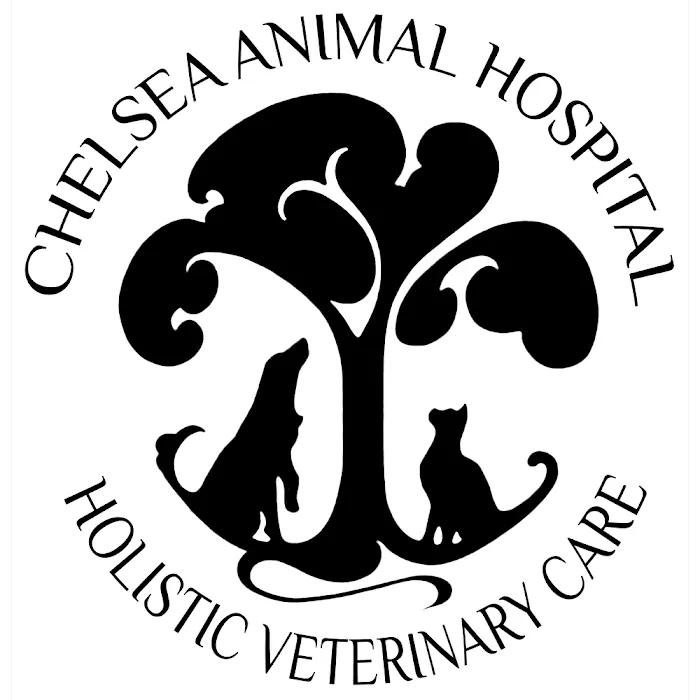 Chelsea Animal Hospital Picture 7