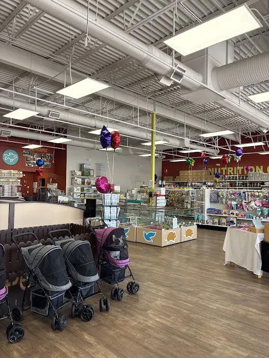 Petland Westfield/Carmel Picture 4