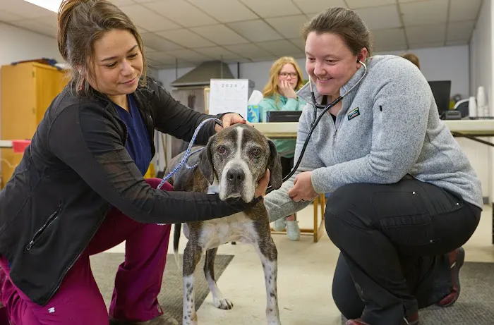Addison County Mobile Veterinary Services Picture 1