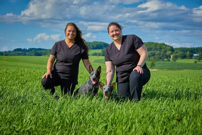 Addison County Mobile Veterinary Services Picture 6