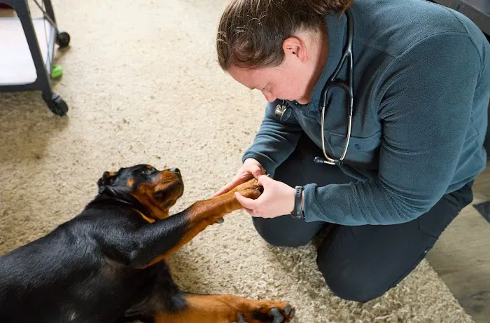 Addison County Mobile Veterinary Services Picture 8