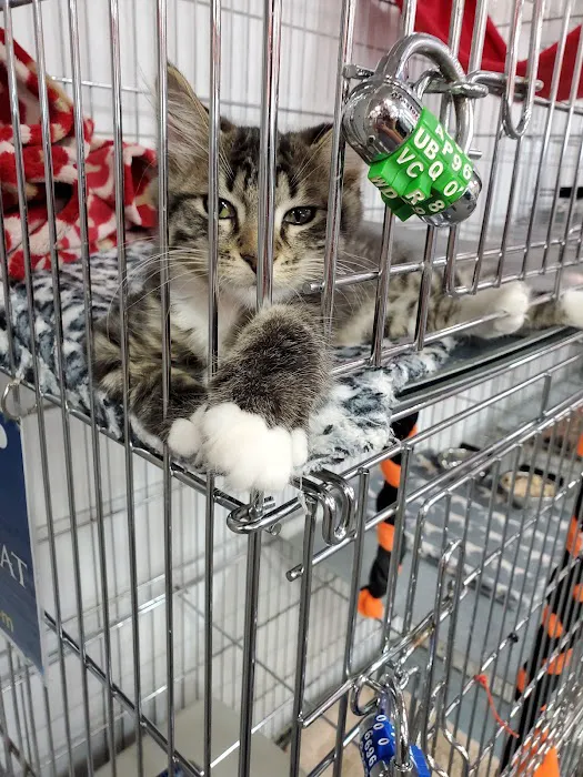 Uncle Bill's Pet Centers North Picture 5