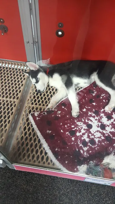 Uncle Bill's Pet Centers North Picture 3