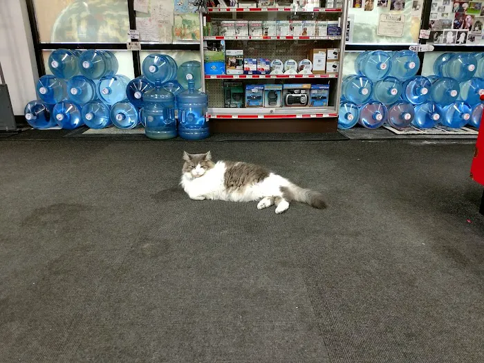 Uncle Bill's Pet Centers North Picture 7