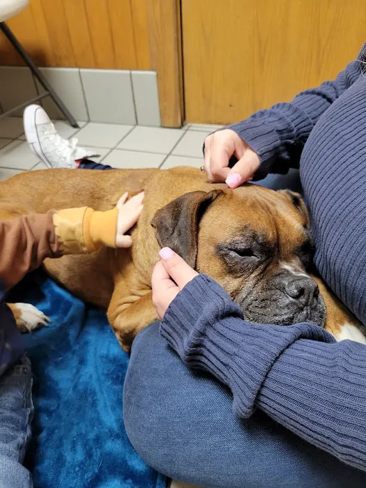 Ticonderoga Animal Hospital Picture 4