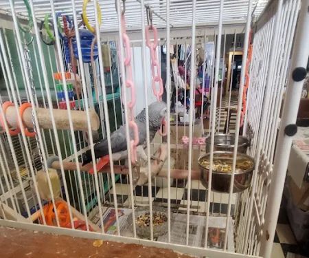 Scottsburg Pet Center