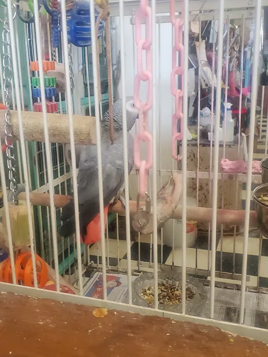 Scottsburg Pet Center Picture 5
