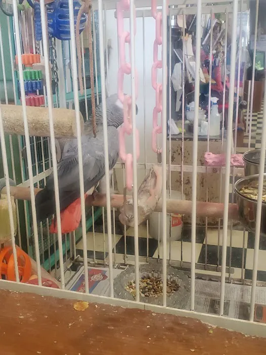 Scottsburg Pet Center Picture 4