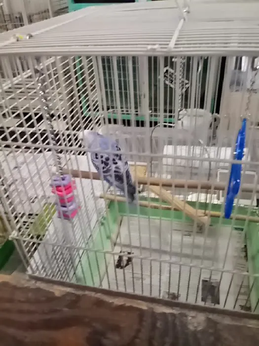 Scottsburg Pet Center Picture 9