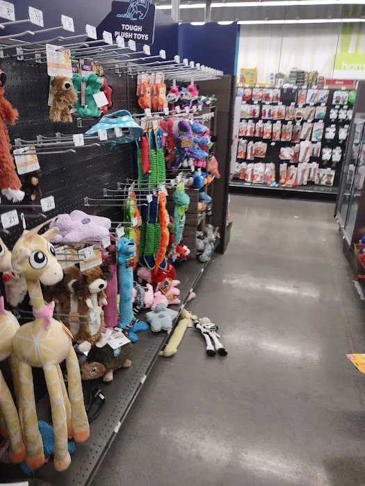 Petco Picture 7