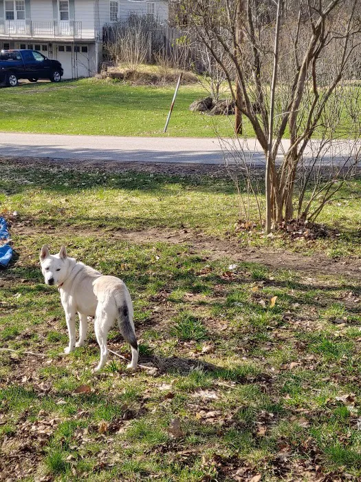 Middlebury Animal Hospital Picture 7