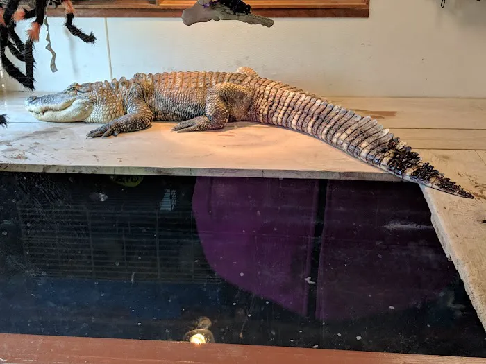 Night Stalkers Pet Emporium Picture 2