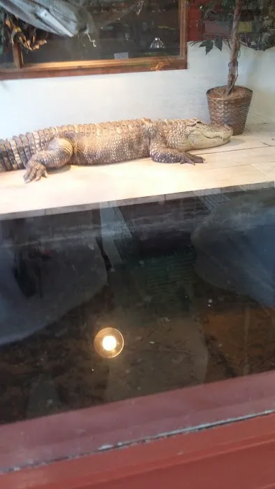 Night Stalkers Pet Emporium Picture 6