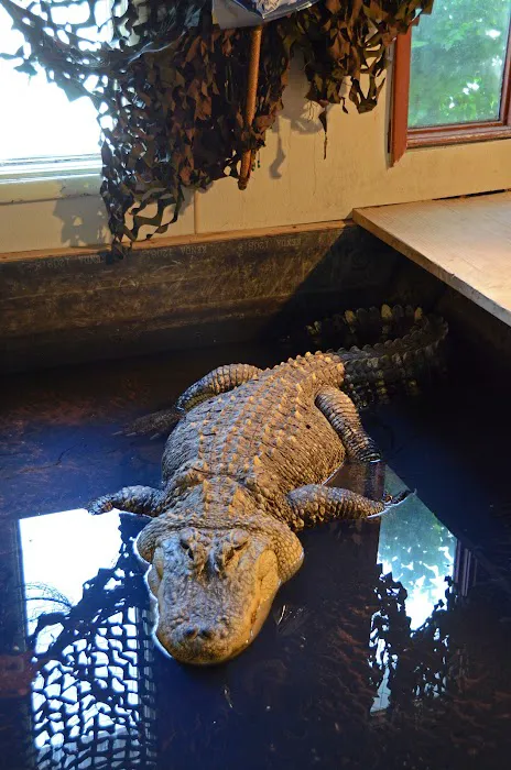 Night Stalkers Pet Emporium Picture 8