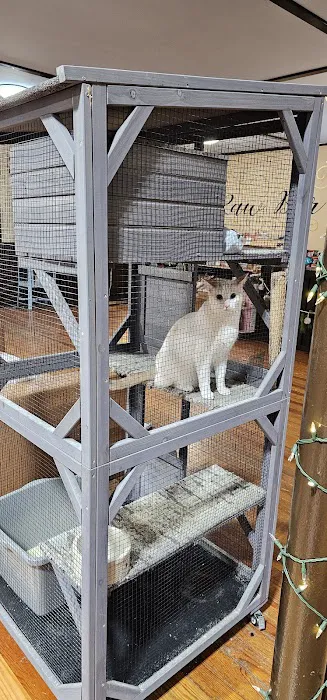 Youngblood's Natural Animal Care Center and Massage Picture 3