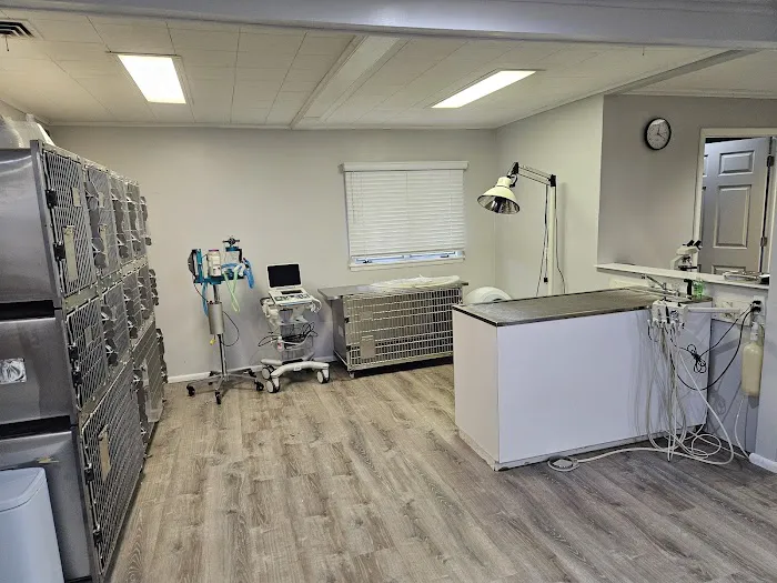 Vita Veterinary Care Picture 2