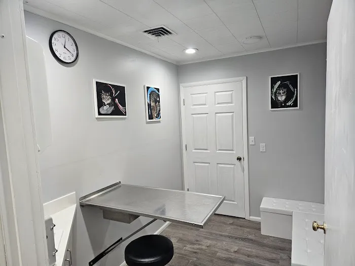 Vita Veterinary Care Picture 8