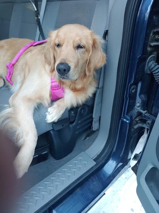 ADK Spay and Neuter Picture 1