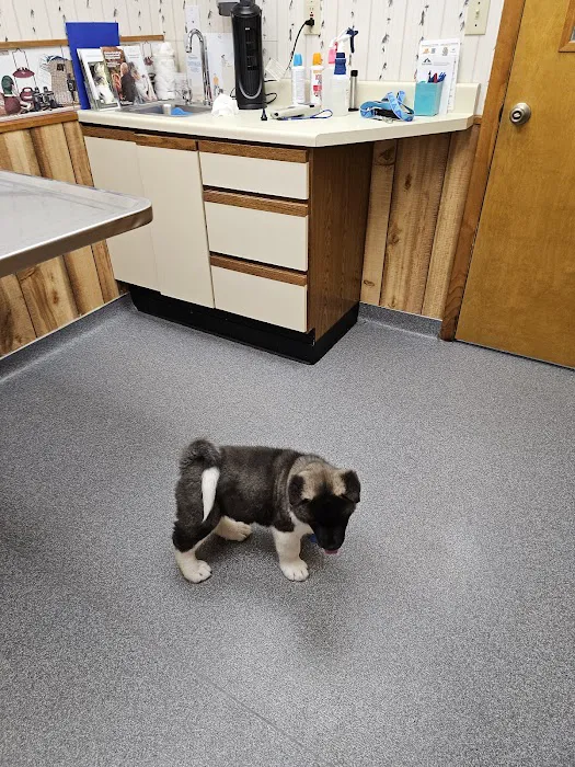 VCA Adirondack Animal Hospital Picture 2