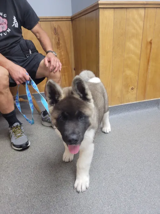 VCA Adirondack Animal Hospital Picture 3