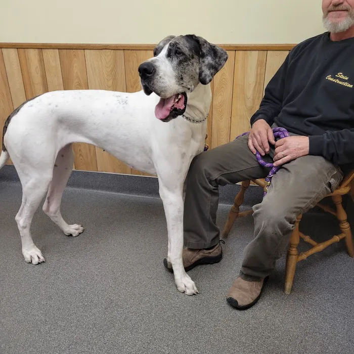VCA Adirondack Animal Hospital Picture 4
