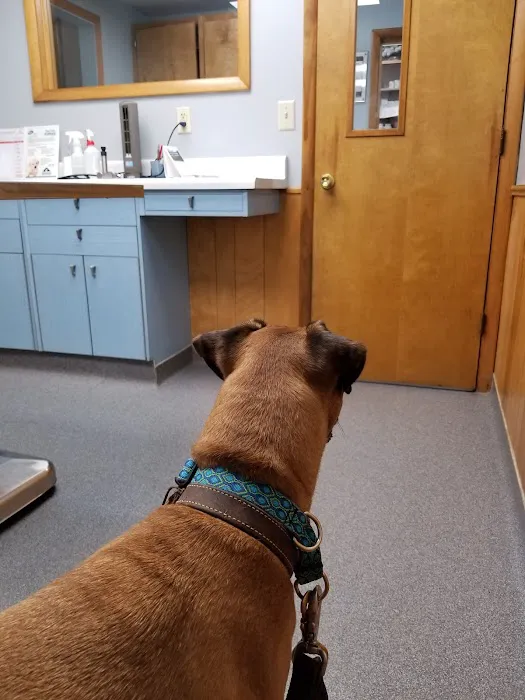 VCA Adirondack Animal Hospital Picture 10