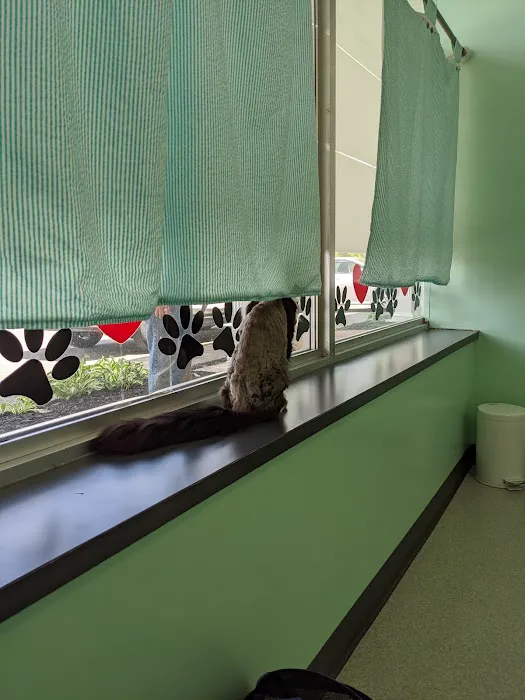 Quaker Animal Hospital Picture 5