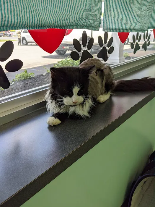 Quaker Animal Hospital Picture 2