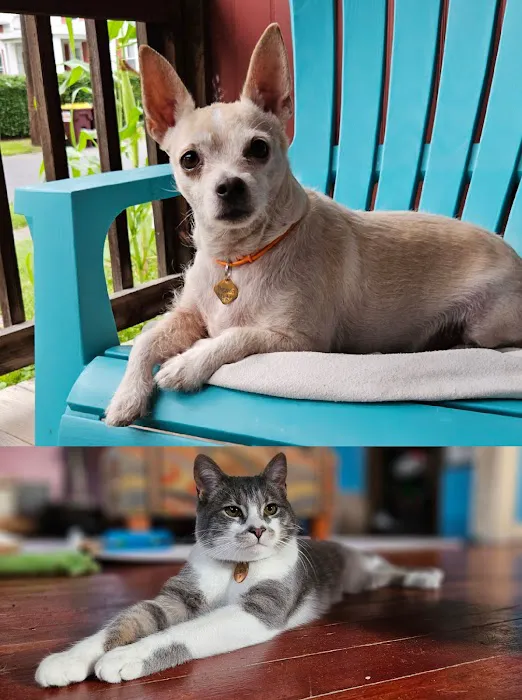 Quaker Animal Hospital Picture 1
