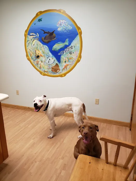 Borador Animal Hospital Picture 10