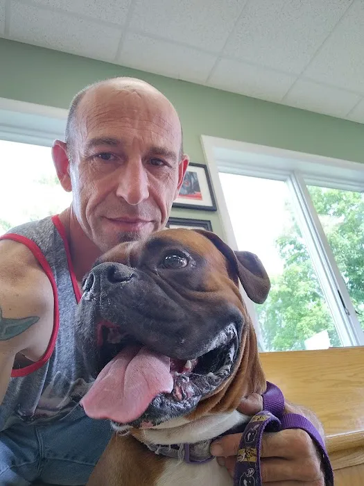 Glens Falls Animal Hospital Picture 3