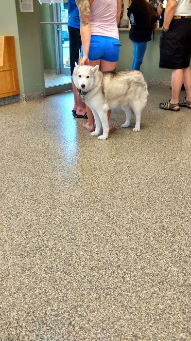 Glens Falls Animal Hospital Picture 9