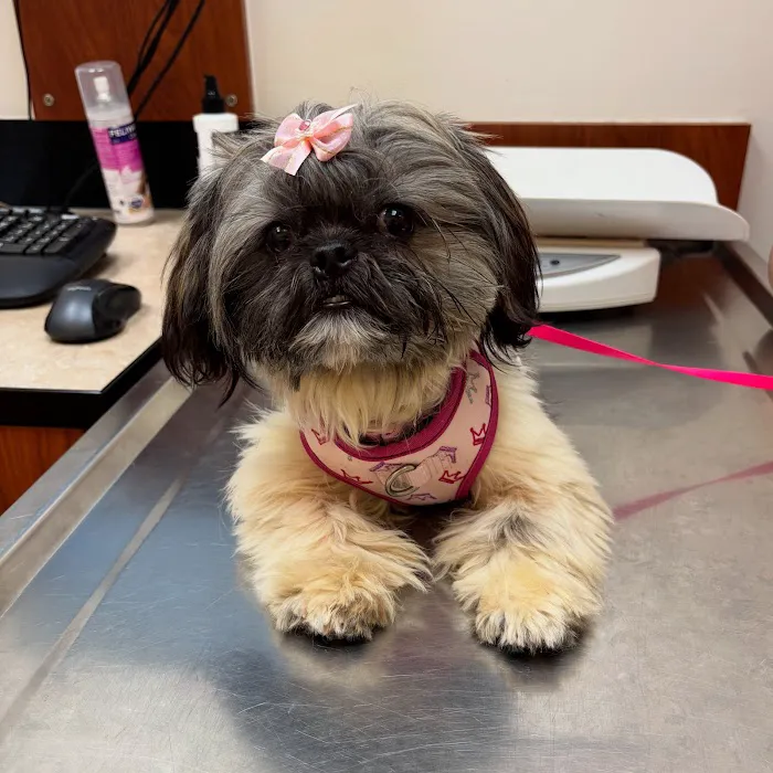Banfield Pet Hospital Picture 2