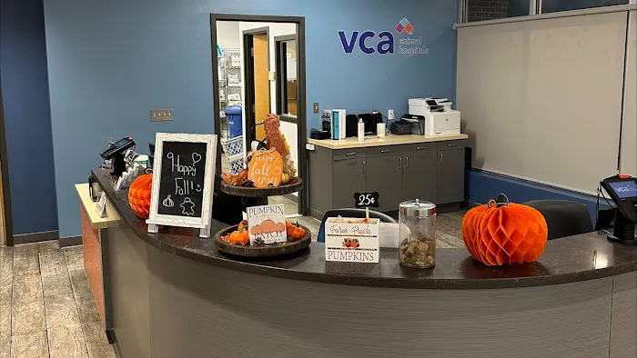 VCA Everett Animal Hospital Picture 2