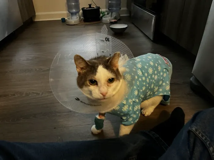 Malden Animal Hospital & Kennel Picture 5