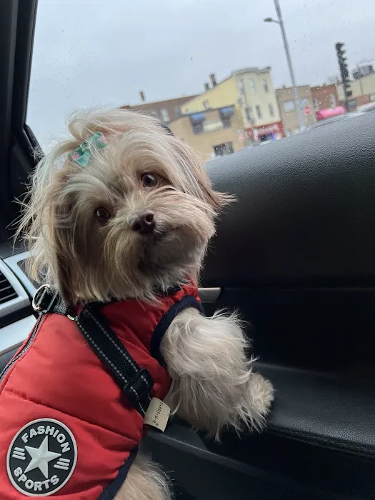 East Boston Animal Hospital Picture 10