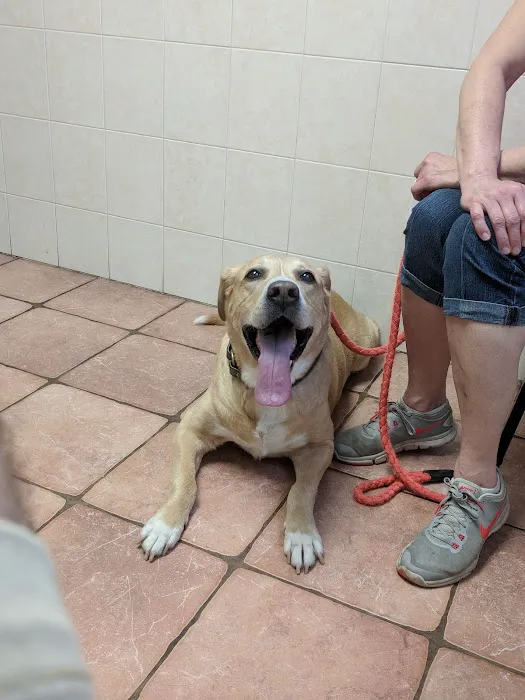 Revere Pet Clinic Picture 5