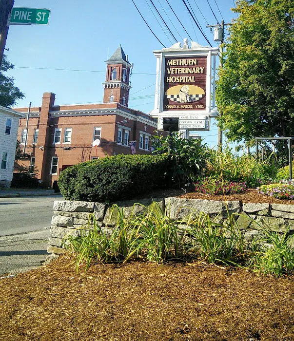 Methuen Veterinary Hospital Picture 6