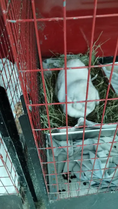 Noble Family Animal Care & Adoption Center Picture 4