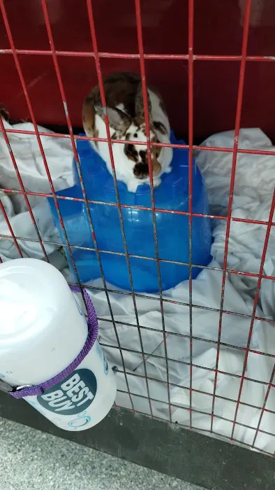 Noble Family Animal Care & Adoption Center Picture 2