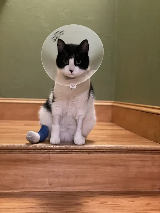 Bulger Veterinary Hospital Picture 10