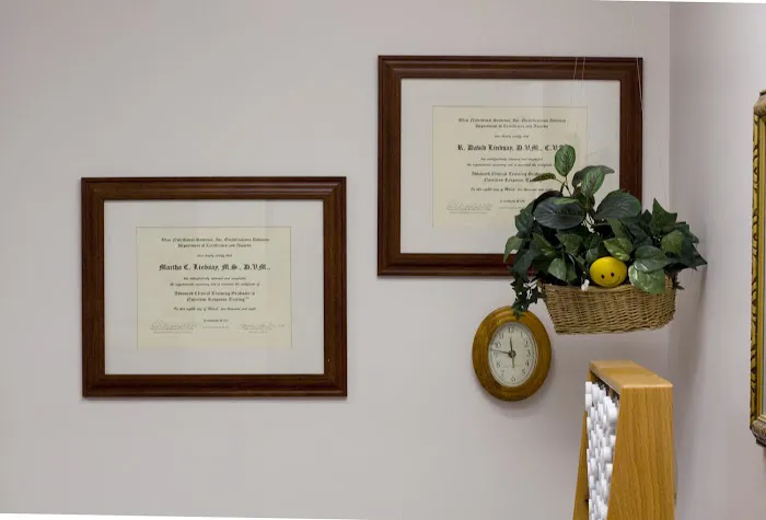 Alternative Veterinary Services LLC Picture 3