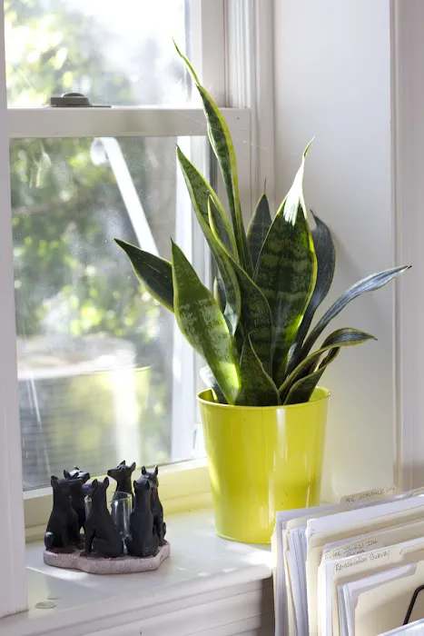 Alternative Veterinary Services LLC Picture 5