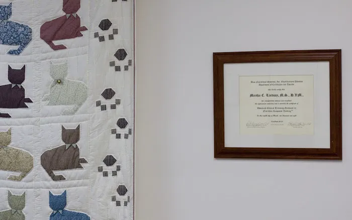 Alternative Veterinary Services LLC Picture 6