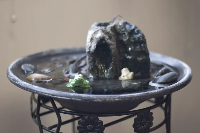 Alternative Veterinary Services LLC Picture 10